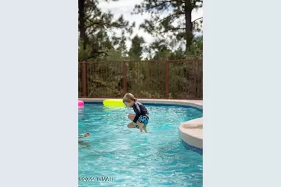 2360 Pinegrass Road, Show Low, AZ 85901 - Photo 14