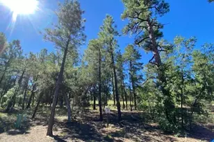 2360 Pinegrass Rd, Show Low, AZ 85901 - Photo 1