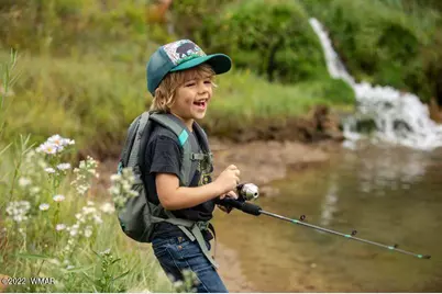 2360 Pinegrass Road, Show Low, AZ 85901 - Photo 10