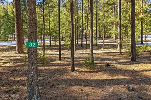 32 N1068, Greer, AZ 85927 - Photo 1