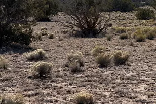 Tbd N6549, Saint Johns, AZ 85936 - Photo 1