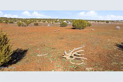 69 County Road 8209, Concho, AZ 85924 - Photo 4