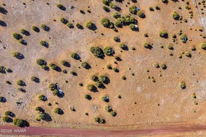 69 County Road 8209, Concho, AZ 85924 - Photo 10