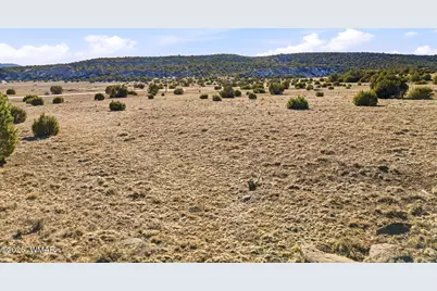 69 County Road 8209, Concho, AZ 85924 - Photo 22