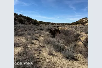 310 N County Road 6726, Saint Johns, AZ 85936 - Photo 40