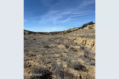 310 N County Road 6726, Saint Johns, AZ 85936 - Photo 20