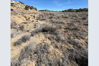 310 N County Road 6726, Saint Johns, AZ 85936 - Photo 38