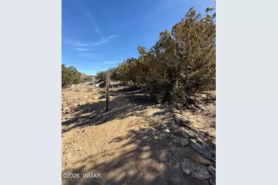 310 N County Road 6726, Saint Johns, AZ 85936 - Photo 30