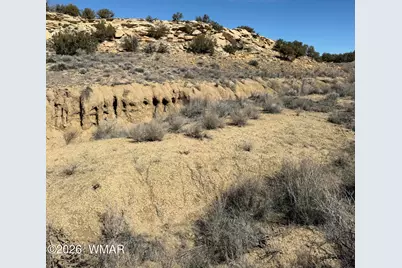 310 N County Road 6726, Saint Johns, AZ 85936 - Photo 1