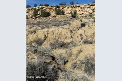 310 N County Road 6726, Saint Johns, AZ 85936 - Photo 34