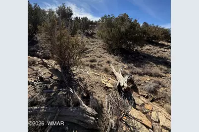 310 N County Road 6726, Saint Johns, AZ 85936 - Photo 28