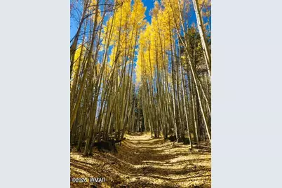 4297 Eagle Circle, Pinetop, AZ 85935 - Photo 28