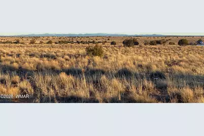 Lot 39 Despain Avenue, Snowflake, AZ 85937 - Photo 2