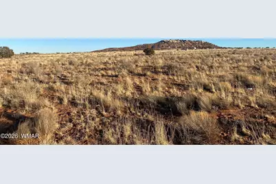 Lot 51 Ridgeview Ranch Drive, Snowflake, AZ 85937 - Photo 2