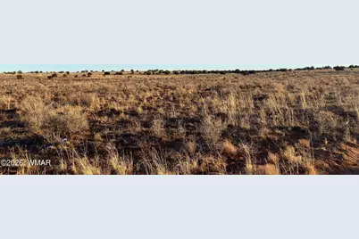 Lot 51 Ridgeview Ranch Drive, Snowflake, AZ 85937 - Photo 6