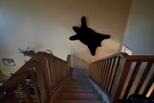 6224 W Starlight Ridge Pkwy, Lakeside, AZ 85929 - Photo 12