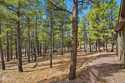 2381 Blue Ridge Drive, Happy Jack, AZ 86024 - Photo 4