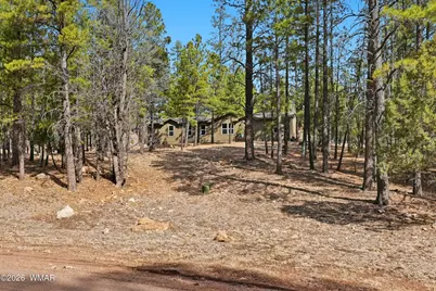 2381 Blue Ridge Drive, Happy Jack, AZ 86024 - Photo 1