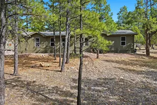 2381 Blue Ridge Dr, Happy Jack, AZ 86024 - Photo 36