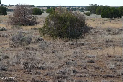 500 Chevelon Canyon Drive, Heber, AZ 85928 - Photo 6