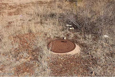 21230027B W White Mountain Blvd, Lakeside, AZ 85929 - Photo 20