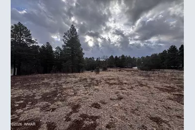 21230027B W White Mountain Blvd, Lakeside, AZ 85929 - Photo 26