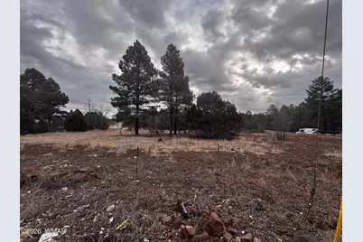 21230027B W White Mountain Blvd, Lakeside, AZ 85929 - Photo 22