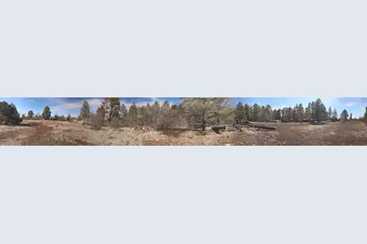 21230027B W White Mountain Blvd, Lakeside, AZ 85929 - Photo 16