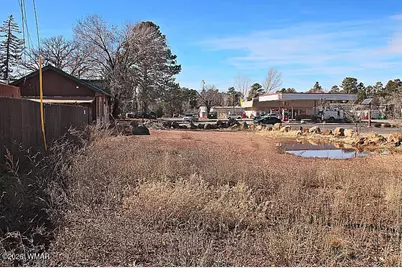 21230027B W White Mountain Blvd, Lakeside, AZ 85929 - Photo 12