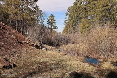 21230027B W White Mountain Blvd, Lakeside, AZ 85929 - Photo 14