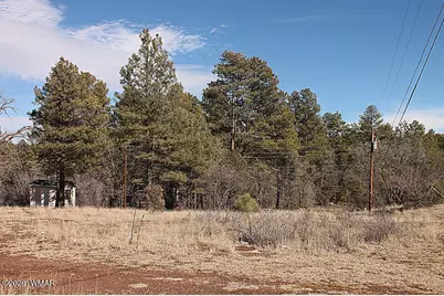 21230027B W White Mountain Blvd, Lakeside, AZ 85929 - Photo 18