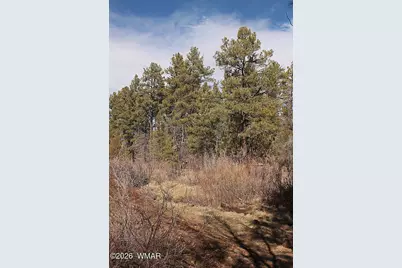 21230027B W White Mountain Blvd, Lakeside, AZ 85929 - Photo 6