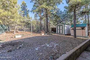 3630 Rainbow Lake Dr, Lakeside, AZ 85929 - Photo 24