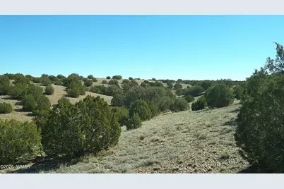 4523 Stirrup Road, Snowflake, AZ 85937 - Photo 22