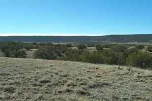 4523 Stirrup Rd, Snowflake, AZ 85937 - Photo 1