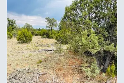 8418 Haven Crest Drive, Happy Jack, AZ 86024 - Photo 14