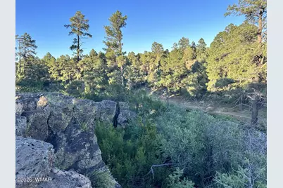 010D E Owens, Show Low, AZ 85901 - Photo 4