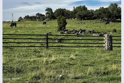 010D E Owens, Show Low, AZ 85901 - Photo 2