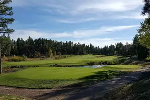 620 S Spirea Ln, Show Low, AZ 85901 - Photo 52