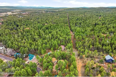 1041 E White Tail Drive, Show Low, AZ 85901 - Photo 48