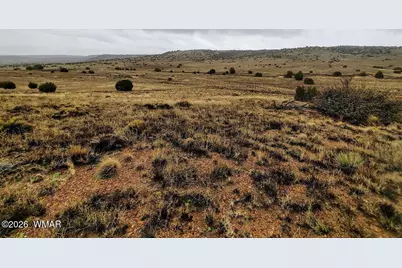 1221 W Farmhouse Drive, Taylor, AZ 85939 - Photo 2