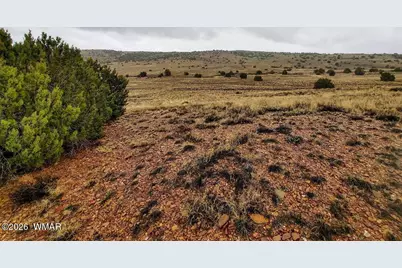 1221 W Farmhouse Drive, Taylor, AZ 85939 - Photo 6