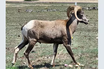 21 N 4037 Road, Greer, AZ 85927 - Photo 28