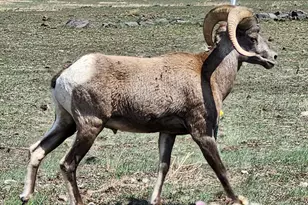 21 N 4037 Rd, Greer, AZ 85927 - Photo 28