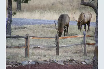 21 N 4037 Road, Greer, AZ 85927 - Photo 26