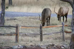 21 N 4037 Rd, Greer, AZ 85927 - Photo 26