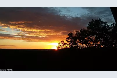 21 N 4037 Road, Greer, AZ 85927 - Photo 24