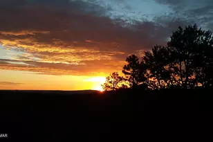 21 N 4037 Rd, Greer, AZ 85927 - Photo 24