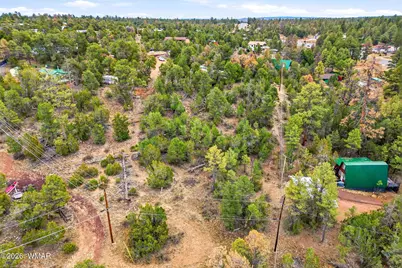 1971 Bradley Lane, Overgaard, AZ 85933 - Photo 4