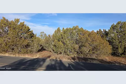 134 County Road  3148, Vernon, AZ 85940 - Photo 2